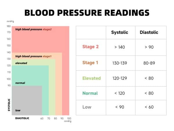 Ambulatory BP Monitor Price|TOPLOCK